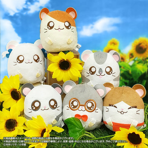 『とっとこハム太郎』ぷちもちマスコット【BOX】